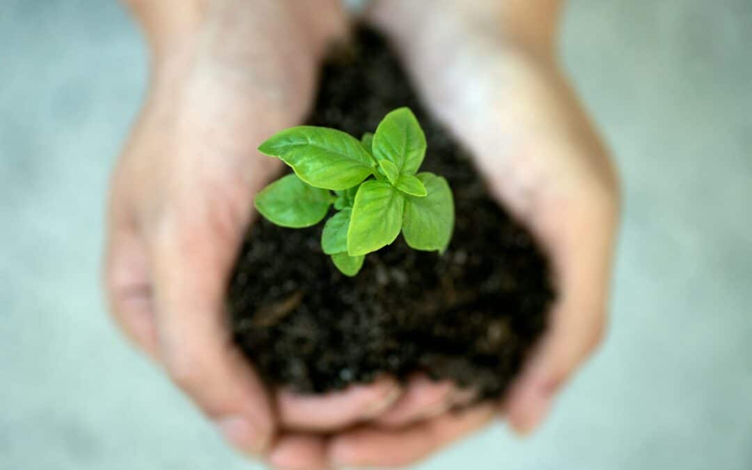 ISO 20121 : notre démarche déjà en action pour des décors événementiels plus responsables